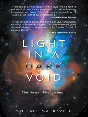cover image of Light in a Dark Void